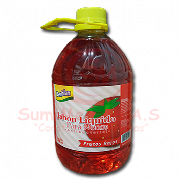 Jabon Manos Antibact Galon frutos rojos/vitall Berhlan (4)